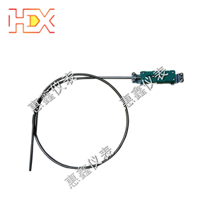 �����ȵ�ż